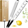 Exitoso Set 2 Grattugia Limone - Grattugia Formaggio Manuale Multifunzione in Acciaio Inox con Manico - Gratta Formaggio e Frutta