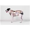 Yes! Cappotto Impermeabile Cane Montreal Perla 80CM