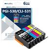 LCL PGI-530 XXL CLI-531 XXL Cartucce d'inchiostro ricambio per Canon PGI530 | PGI-530 CLI-531 Cartucce di stampante Compatibili con Canon TS8750 TS8751(6-Pack, Pgbk,nero,ciano,magenta,giallo,grigio)