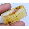 20.35 CT Naturale Tanzania Ambra Fossil Insect Inclusione Cabo Certificato Gemma