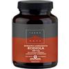 TERRANOVA Rodiola 50 capsule