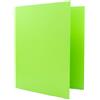 Raylu Paper® - Raccoglitore 4 anelli a D da 40 mm, raccoglitore A4 con anelli per riporre documenti, formato A4 33,5 cm di altezza x 26 cm di larghezza e dorso di 6 cm di spessore (verde chiaro)