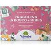 VALVERBE SOC.AGR.COOP. VALVERBE Tisana biologica - Fragolina di bosco e ribes