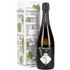 CA' DE PAZZI Franciacorta saten "raffa" docg astucciato