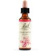 SCHWABE PHARMA ITALIA Srl Crab Apple Bach Orig 20 Ml
