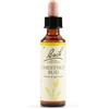 SCHWABE PHARMA ITALIA Srl Chestnut Bud Bach Orig 20 Ml