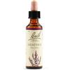 SCHWABE PHARMA ITALIA Srl Heather Bach Orig 20 Ml