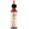 SCHWABE PHARMA ITALIA Srl Larch Bach Orig 20 Ml