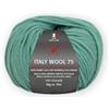 Unbekannt Pro Lana Italy Wool 75 circa 75 m col. 263 50 g