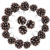 TRIXES Decorazioni dell'albero di Natale - 18PC Pigne Appese - Ghirlanda - Punta di Neve - Corona di Natale Che Fa Rifornimenti - Bagattelle di Natale
