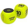 SPRI Exercise Dice (6-Sided) - Game for Group Fitness & Exercise Classes - Includes Push ups, Squats, Lunges, Jumping Jacks, Crunches & Wildcard (Includes Carrying Bag)