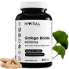 HIVITAL foods Ginkgo Biloba 6000 mg 210 capsule vegane per 7 mesi di trattamento Il miglior