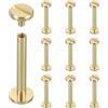 sourcing map Chicago - Set di 10 rivetti a vite M4 x 30 mm, in metallo, a testa Phillips, per fai da te, pelle, borse, artigianato, rilegatura, ottone