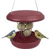 SWISSINNO Mangiatoia per Uccellini da Esterno - Lucerne SMART BIRDS - Casetta da Appendere Resistente per Palline di Grasso - Anti-topi e ratti - Borgogna