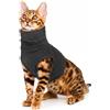 PUMYPOREITY Paraorecchie Cani, Snood per Cani Copriorecchie Invernale Copri Collo Ferite Fascia per Orecchie Paraorecchie Pettorina Gatto(Grigio, XS)