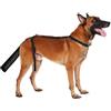CiCixixi Protezione per la Coda del Cane, Protezione per la Coda del Cane Copertura per la Coda del Cane per Ferite per la Coda, Copertura per Coda di Cane Domestico(Taglia M)