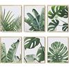 HoozGee Set di 6 stampe artistiche da parete botaniche con foglie tropicali, decorazione artistica da parete con foglie tropicali, stampe artistiche da parete per decorazione da parete, poster artistici da