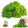 SZSIQI 200 g Muschio Finto per Decorazioni, Muschio Artificiale per Decorare Fai Da Te, Acquario, Decorativo Estetico Floreali (100 g Verde Scuro + 100 g Verde Chiaro)