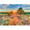 Schmidt 59768 Heide al tramonto, puzzle da 1000 pezzi