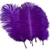 Sowder, piume naturali di struzzo per centrini per matrimoni e decorazioni della casa, lunghezza 25 - 30 cm, 20 pezzi Purple