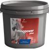 EQUALITY s.r.l. Aminopower Plus 1,5 Kg