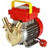 Rover pompe ELETTROPOMPA AUTOADESCANTE BISENSO ROVER 25 ROVER POMPE