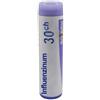 Boiron INFLUENZINUM 30CH GLOBULI 1 DOSE 1G