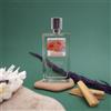 Eoliepafums Italia Eolie Parfums Zephyrus eau de parfum 100ml