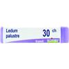 BOIRON Ledum Palustre Boiron 30 Ch Globuli 1g