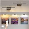 AMFUN 2 Pezzi Luce Per Quadri Senza Filo, Lampada Da Parete Ricaricabile con Telecomando, Luci LED Applique Con 3 Temperature Di Colore, per Esposizione Pittura Vetrina, Nero