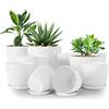 Utopia Home Confezione da 10 vasi 18/17/15/13/12 cm Fioriera con sottovaso Per cucina, balcone, piante da giardino, vasi da vivaio per interni Grigio screziato.