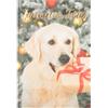 DRAEGER Paris | Biglietto di auguri musicale per cani felici feste | Regalo di Natale | Feste di fine anno vigilia | Rame caldo | 14,5 x 14,5 cm | Made in England | Busta inclusa | Carta FSC®