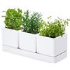D'vine Dev Set di fioriere da giardino per erbe aromatiche, vasi in plastica con drenaggio e sottovaso, vaso per piante grasse, cactus e verdure, per davanzale, giardino, balcone, bianco, 76-B-2-W