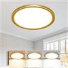 slochi Plafoniera LED Soffitto, 3000K/4000K/6500K IP44 Impermeabile Lampada da Soffitto, 18W 1800LM Plafoniera Bagno per camera da letto, Cucina, Soggiorno, Balcone, Ø22cm,1 Pezzi