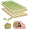Gfamous 50 Pezzi Grow Cubes,Cubi di Lana di Roccia,Lana di Roccia Cubi di Idroponica,per Coltivazione di seli, Rockwool Grow Cubi per Coltivazione di compresse Soilless piantagione