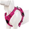 WINHYEPET Pettorina per Cani True Love, Pettorina per Animali Riflettente No Pull con 2 Clip per Guinzaglio Gilet per Cani Imbottito Morbido Regolabile, per Cani di Piccola Taglia Media TLH5651