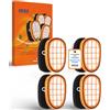 DEGG Filtro, Compatibile con Aspirapolvere Philips Speedpro Max, Max Aqua e Max Aqua Plus Serie 6000, 7000 e 8000, Filtro di Ricambio FC5005/01, Filtro Lavabile, Ricambi per Aspirapolvere, 4 PEZZI