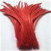 Sowder Red Rooster Coque - Confezione da 20 piume di coda da 40-45 cm(rosso)