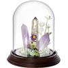 PH PandaHall 13x14 cm Cupola in Vetro con Base in Legno Campana di Vetro Trasparente Decorativa per La Conservazione dei Fiori Decorazione per Feste in Casa