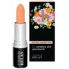 HELAN COSMESI SRL I Colori Di Helan Bio Correttore Stick Opacizzante-sabbia