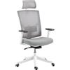 HOMCOM Sedia da Ufficio Ergonomica e Traspirante con Supporto Lombare Dinamico 4D, 64.5x62.5x112-122 cm, Grigio | Aosom Italy
