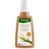 Rausch Shampoo nutriente al germe di frumento per capelli stressati dal sole e secchi 200 ml