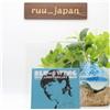 Nuovo CD Blu-Swing / BLU-SWING 10th ANNIVERSARY BEST 2019 Japan