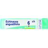 boiron Echinacea angust 6ch bo gr