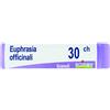 boiron Euphrasia off 30ch gl