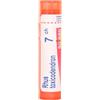 boiron Rhus toxicodendron 7ch 80gr 4g