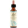 SCHWABE PHARMA ITALIA Srl ROCK WATER BACH ORIG 20ML