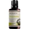BIOEARTH INTERNATIONAL Srl Bergamotto Bioearth 10ml