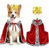 Puluole Costumi di Halloween per cani di taglia grande, costumi di Halloween per cani e gatti, mantello re per cani, costume per cani di taglia grande per Halloween (M)