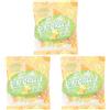 Dietorelle - Caramelle Dure Vegan Arancia e Limone, Caramelline Frutta Agrumi, Senza Zucchero, Senza Glutine, con Dolcificante Naturale - 70 gr (Confezione da 3)